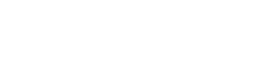 logo iic partners